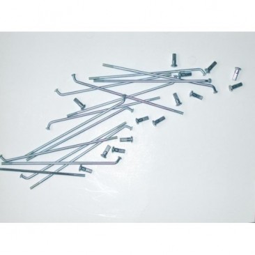 RAYONS INOX - KTM 250 SXF - 08 A 09