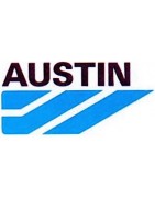 J2L MECA - Bougies Racing AUSTIN